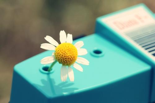 爱一个人受伤的句子 爱一个人受伤的说说