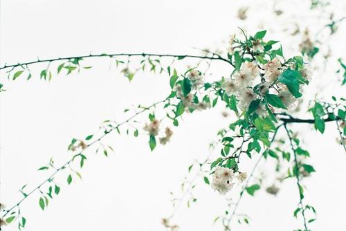 心情不好难过的短句子 心情不好难过的说说