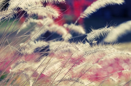 爱情伤感的说说句子 爱情伤感的说说