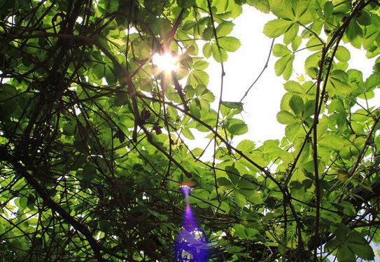 爱情看不透人心的句子 爱情看不透人心的说说