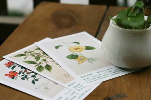 表达心情失落的句子 表达心情失落的说说