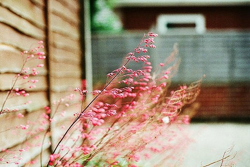 朋友圈心累的伤感心情句子 朋友圈心累的说说