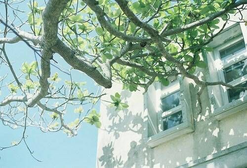 关于爱情的伤感诗意句子 关于爱情的说说