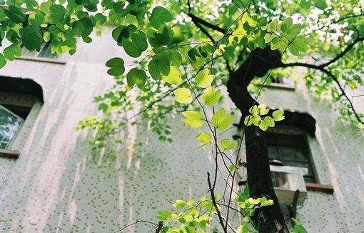 心累治愈心灵的句子 心累治愈心灵的说说