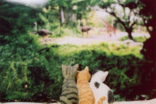 那些美到让人心碎的句子 那些美到让人心碎的说说