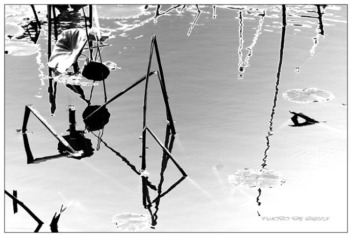 秋风冷,秋雨凉的伤感句子