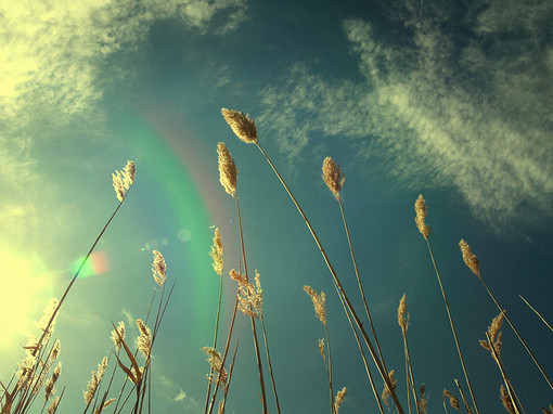 清风吹散了一盘沙的伤感句子