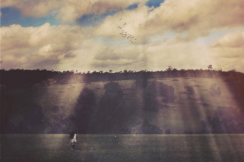 对兄弟失望心寒的句子