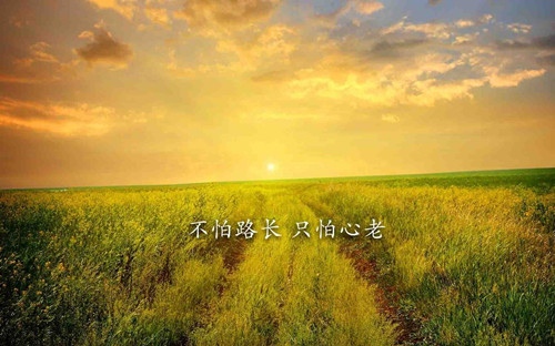 含有桑榆的诗句