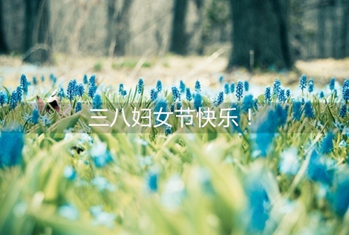 英语读后感150字小红帽