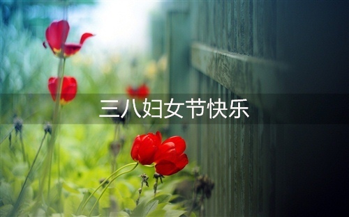 小学毕业演讲稿老师
