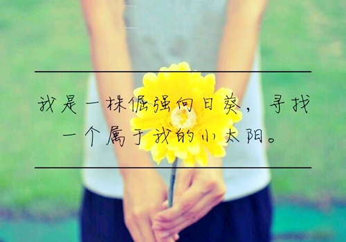 嘉农电影中的经典台词