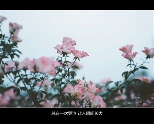 十全十美的一天演讲稿