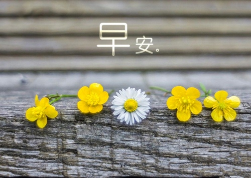 关于盲目从众的演讲稿