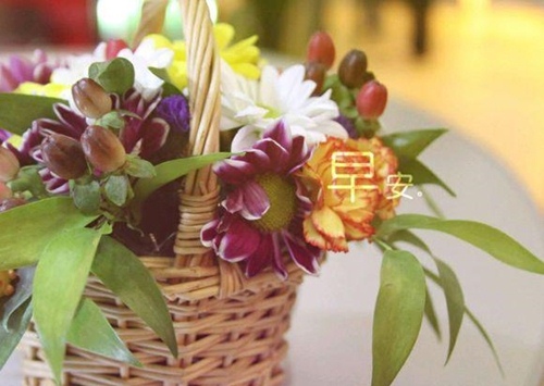 课文《拐杖》读后感