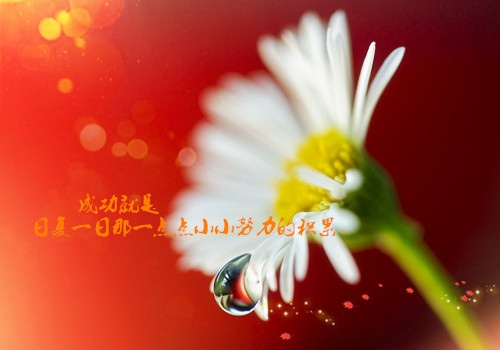 幼儿毕业班老师演讲稿