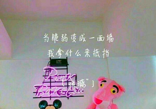 关于铁观音的演讲稿