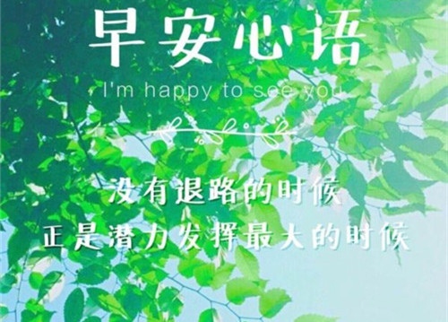小学校长精品演讲稿