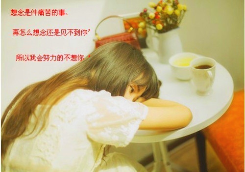 海豚湾的演讲稿