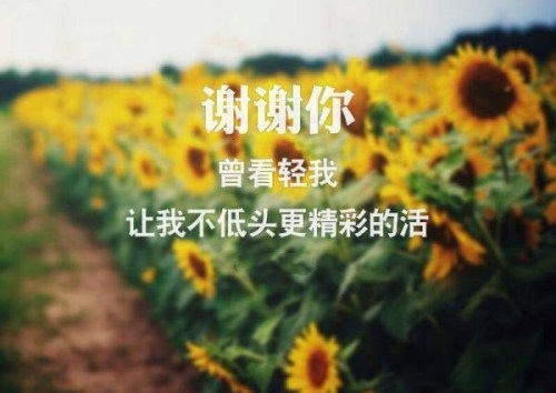 交通常识演讲稿120字