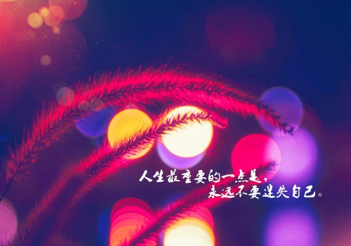 高中宪法与个人演讲稿900