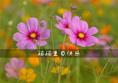 天池风景区导游词