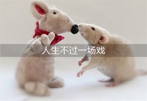 初1英语演讲稿带翻译