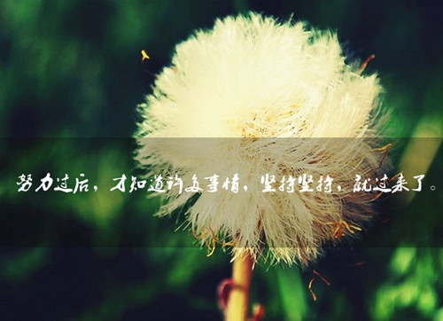 天池的导游词二十字
