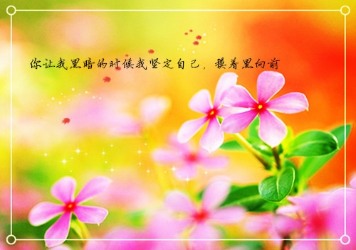 关于周明珠的演讲稿