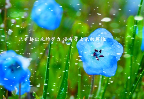 鲁豫老师的演讲稿