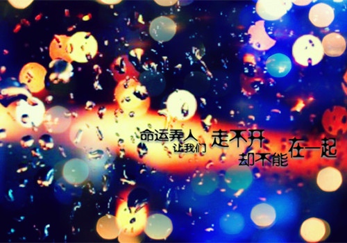 形容天鹅的诗句