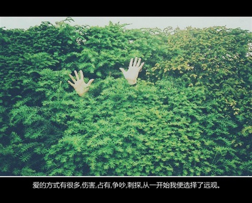养成教育守规范演讲稿