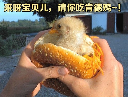 我在党旗下成长演讲稿教师