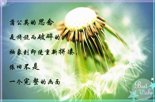 圣诞节寄语短句