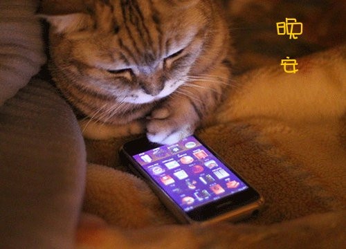 描写圣诞节的段子