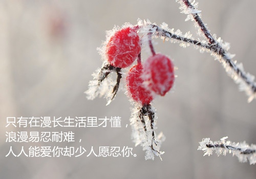 飓风营救3 台词