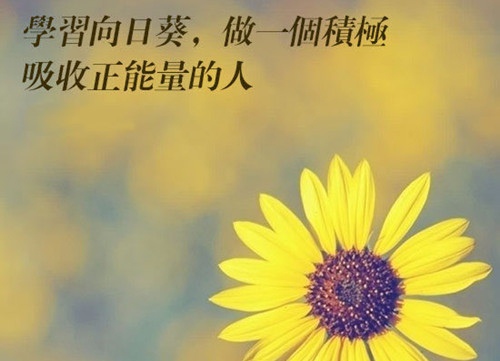 海南石花水洞地质公园导游词