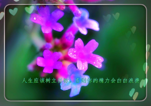 圣诞节晚会开场白台词