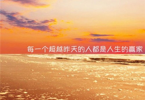 恋爱专家的开头台词