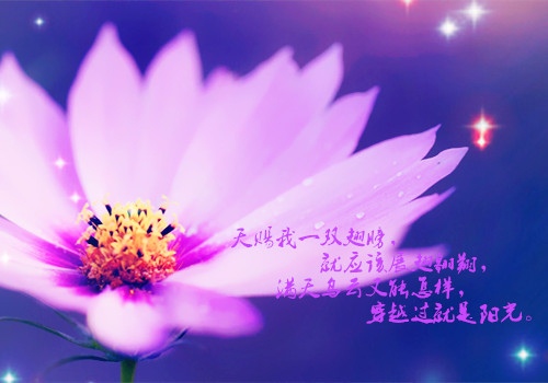 教师正能量的演讲稿