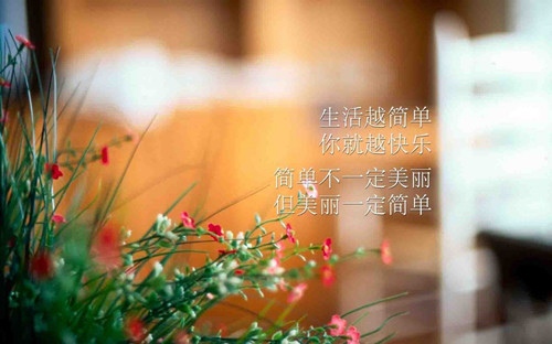金鞭溪的导游词500字作文
