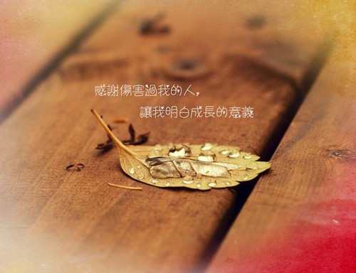 读的想哭的演讲稿