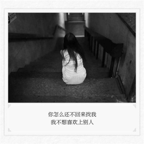 导游词乐乐作文