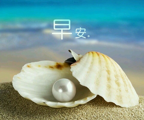 诚信宣传讲座演讲稿