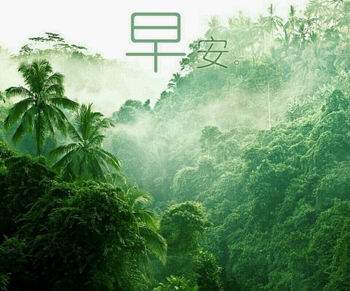 关于圣诞节的推送