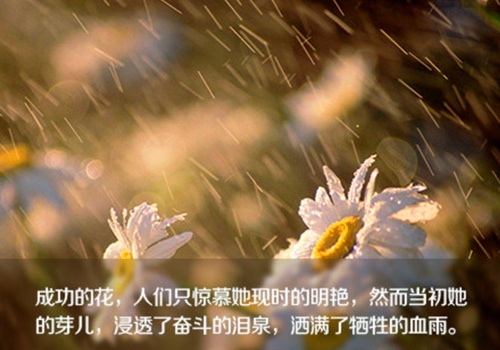 天后殿导游词