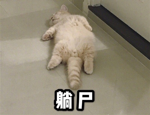 情感语录短句伤感