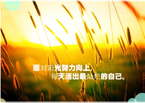 校庆晚会过后的演讲稿