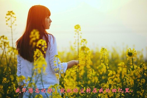 小红帽英语故事演讲稿