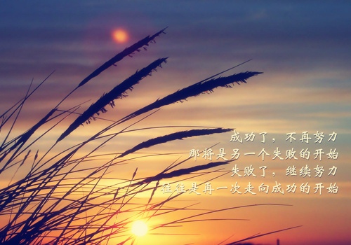 音乐 歌唱名言